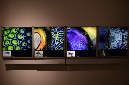 Wasp_exhibition__DSC3429